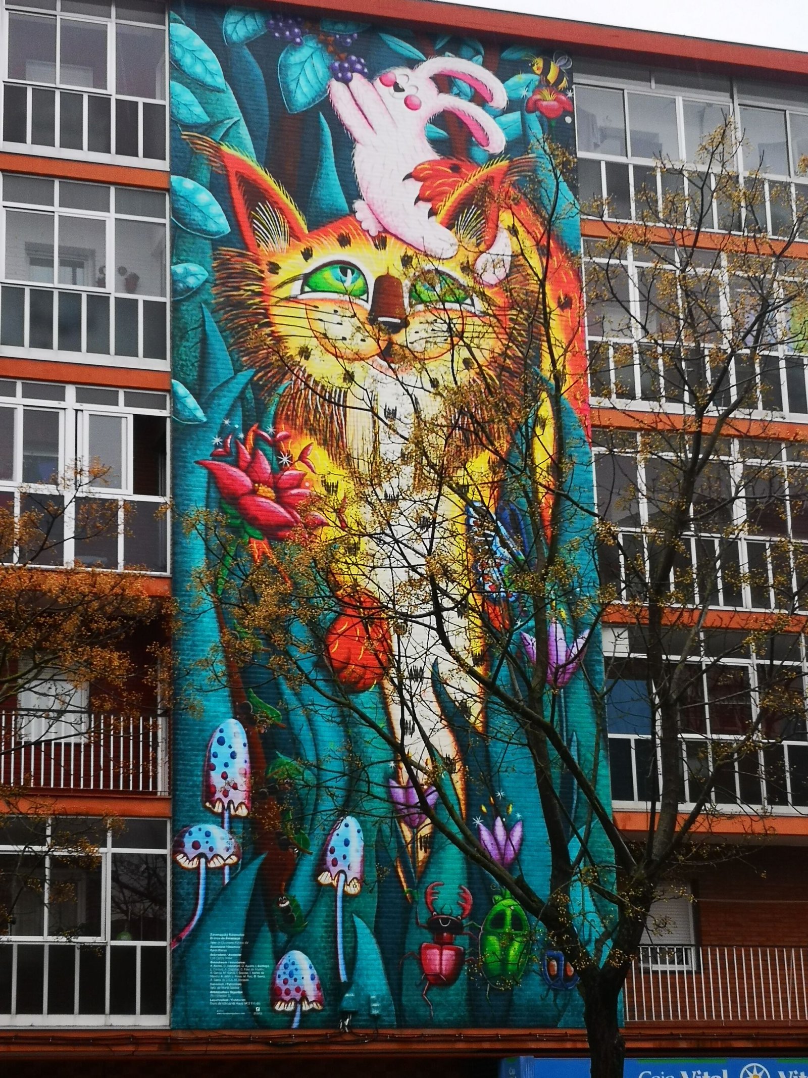 El Gato